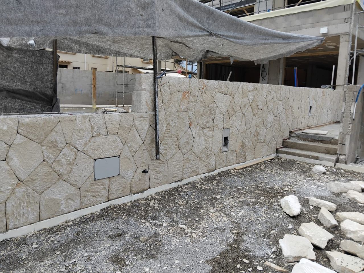 constitutional reforms stone