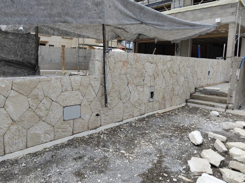 constitutional reforms stone