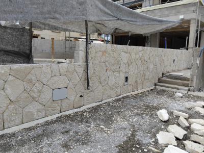 constitutional reforms stone