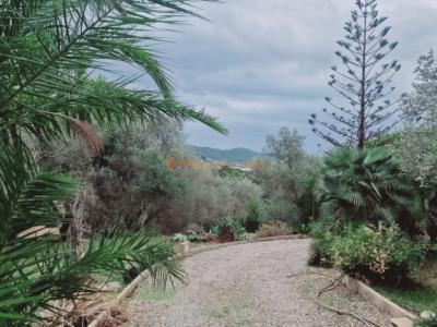 Venta de Bonita Casa de Campo en Capdepera – Entorno Natural