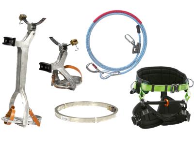 Verkauf von Ausrüstung für die Schnittpflege von Palmen