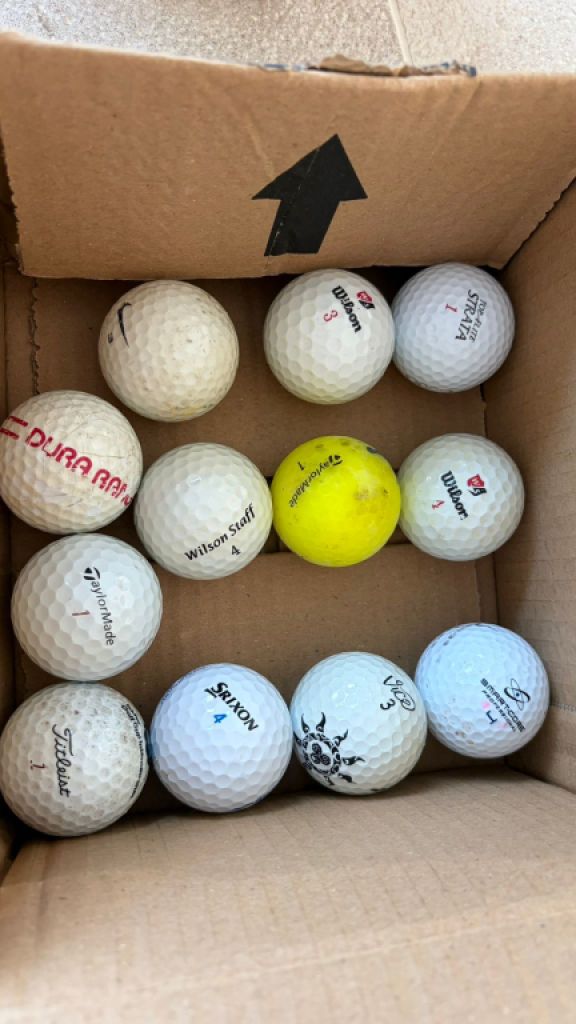 Selling 48 used golf balls
