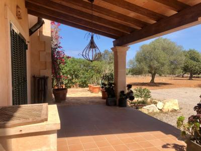 Rental of rustic finca with pool, 4 bedrooms, near the sea, Alqueria Blanca