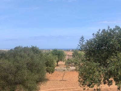 Rental of rustic finca with pool, 4 bedrooms, near the sea, Alqueria Blanca