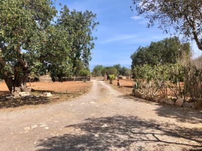 Rental of rustic finca with pool, 4 bedrooms, near the sea, Alqueria Blanca