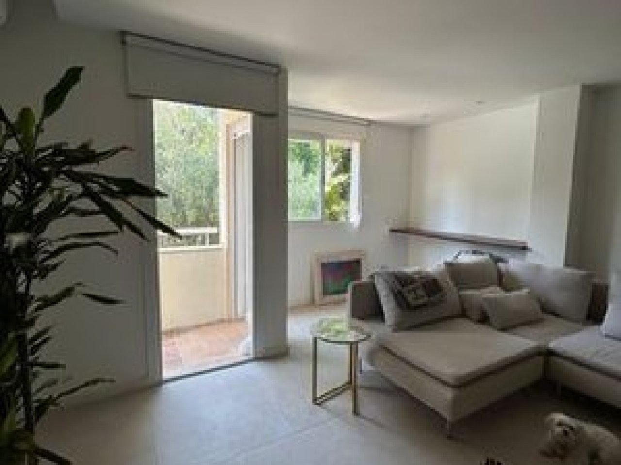 Vermietung Palma mit Pool