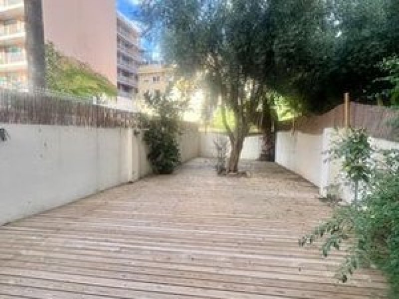 Vermietung Palma mit Pool