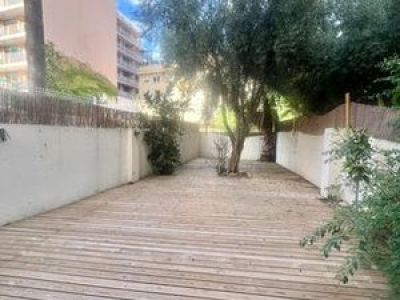 Vermietung Palma mit Pool