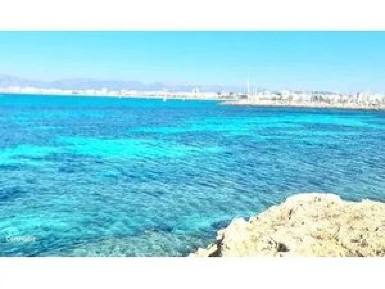 Vermietung Palma mit Pool