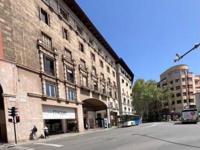 Alquiler Palma, pl.Cort