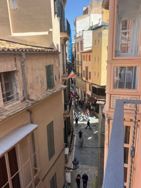 Alquiler Palma, pl.Cort