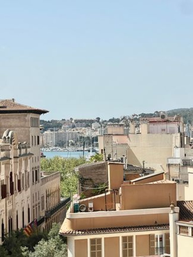 Alquiler Palma, pl.Cort