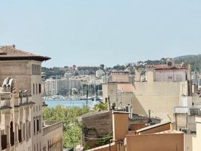 Alquiler Palma, pl.Cort