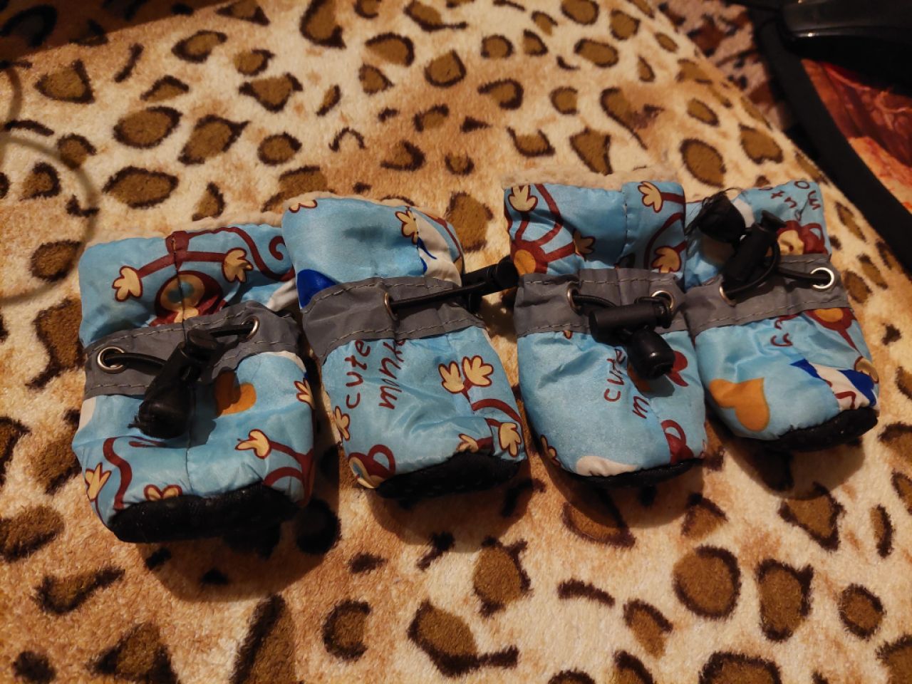 Verschiedene Hundekleidung und Accessoires