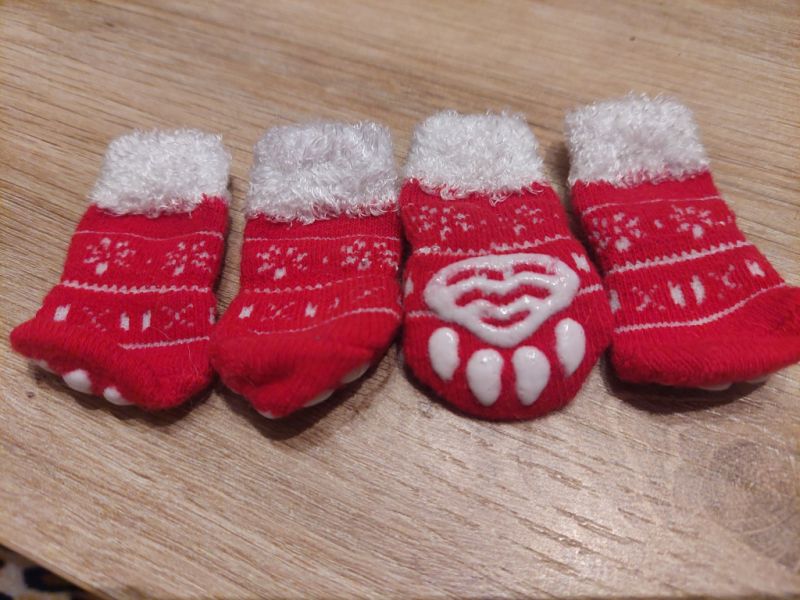 Verschiedene Hundekleidung und Accessoires