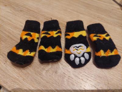 Verschiedene Hundekleidung und Accessoires