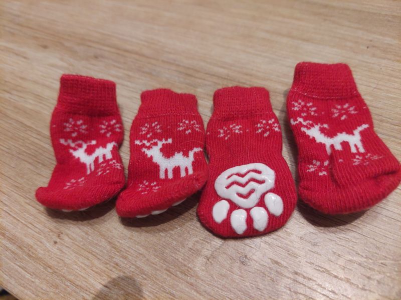 Verschiedene Hundekleidung und Accessoires