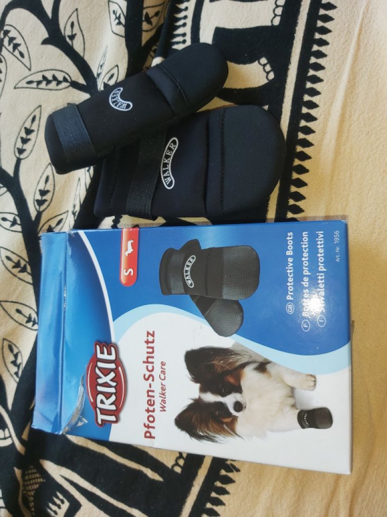 Verschiedene Hundekleidung und Accessoires