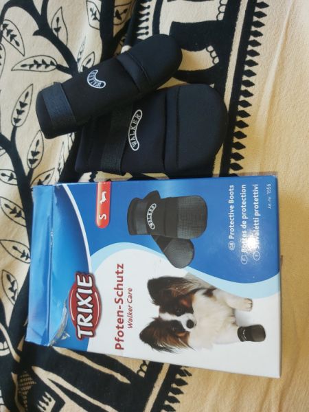 Verschiedene Hundekleidung und Accessoires