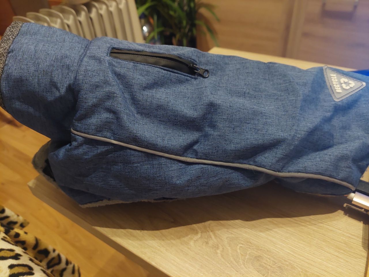 Verschiedene Hundekleidung und Accessoires