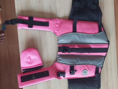 Verschiedene Hundekleidung und Accessoires