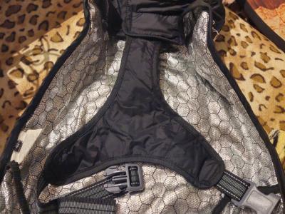 Verschiedene Hundekleidung und Accessoires