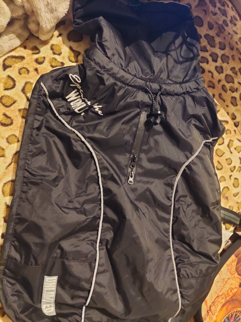 Verschiedene Hundekleidung und Accessoires