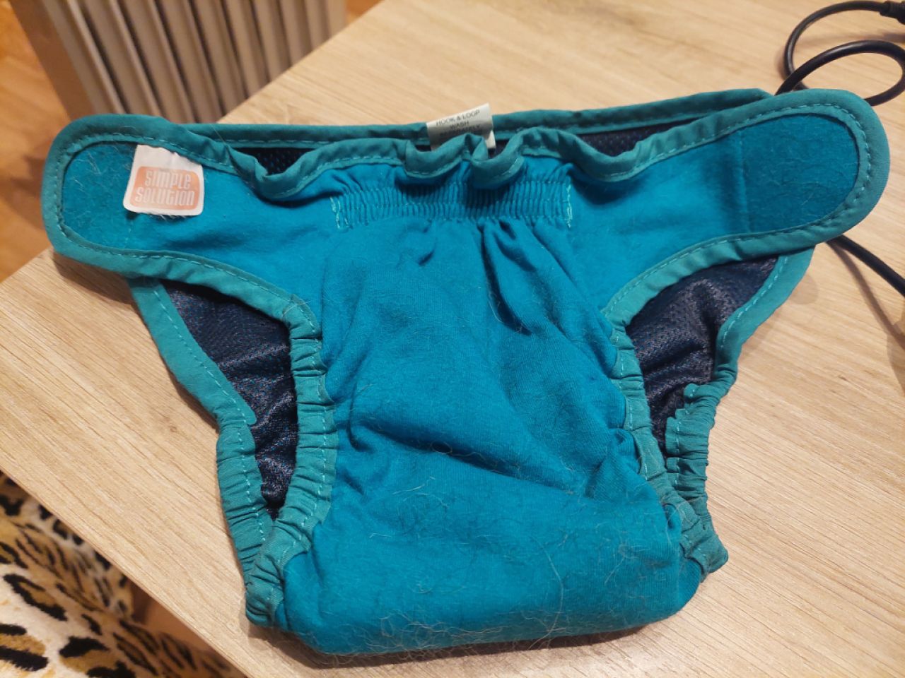 Verschiedene Hundekleidung und Accessoires