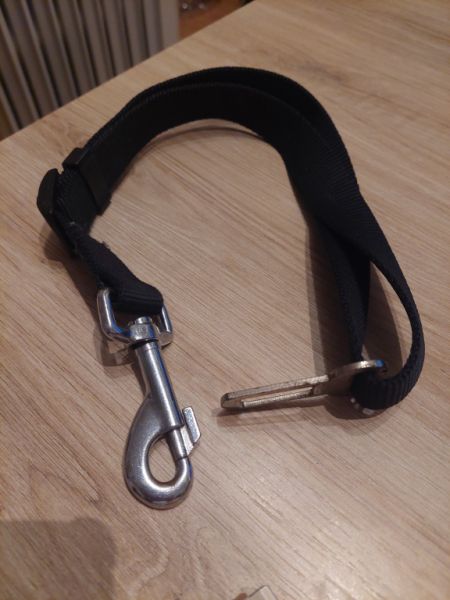 Verschiedene Hundekleidung und Accessoires