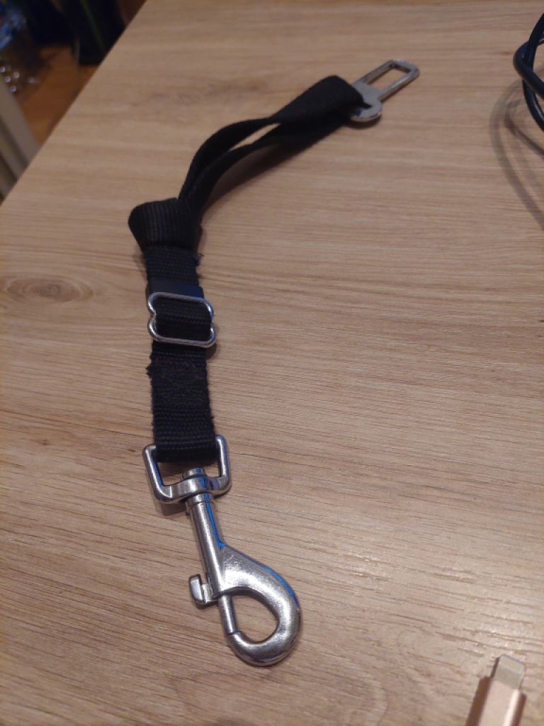 Verschiedene Hundekleidung und Accessoires