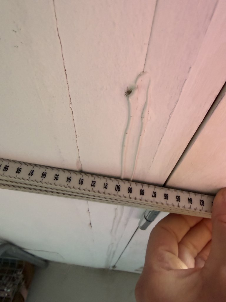 Verschiedenen Holzfenster mit Isolierverglasung