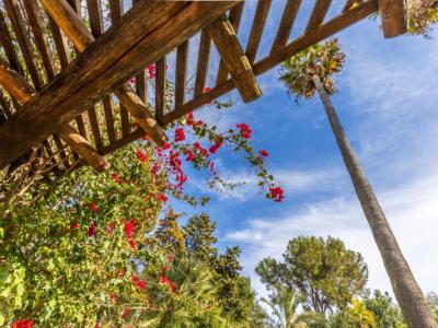 Villa im Ibizastil mit Pool in Cielo de Bonaire Alcudia