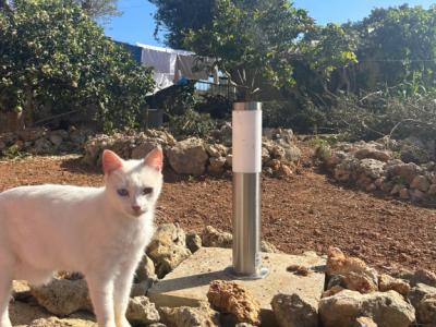 Villa mit Ferienwohnung und Ferien Apartment in Porto Cristo zu vermieten