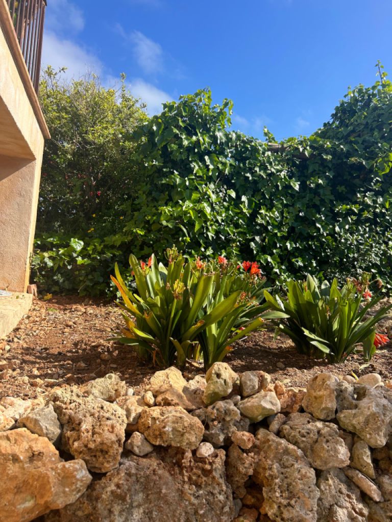 Villa mit Ferienwohnung und Ferien Apartment in Porto Cristo zu vermieten