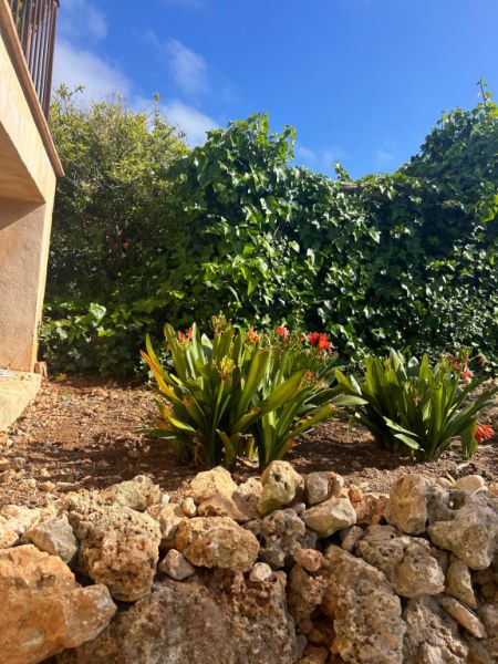 Villa mit Ferienwohnung und Ferien Apartment in Porto Cristo zu vermieten