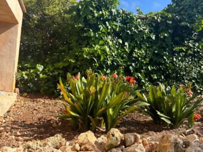 Villa mit Ferienwohnung und Ferien Apartment in Porto Cristo zu vermieten