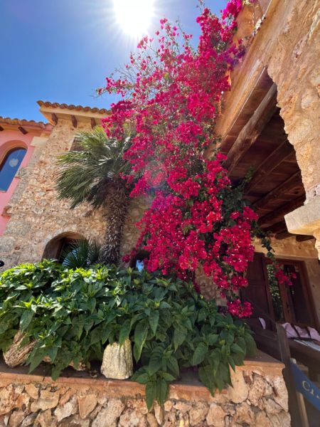 Villa mit Ferienwohnung und Ferien Apartment in Porto Cristo zu vermieten