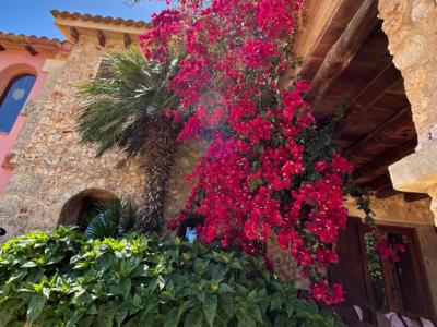 Villa mit Ferienwohnung und Ferien Apartment in Porto Cristo zu vermieten