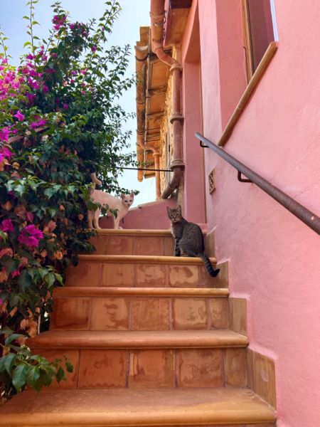 Villa mit Ferienwohnung und Ferien Apartment in Porto Cristo zu vermieten