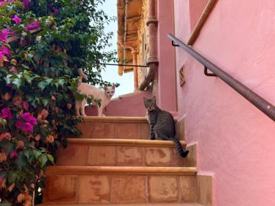 Villa mit Ferienwohnung und Ferien Apartment in Porto Cristo zu vermieten