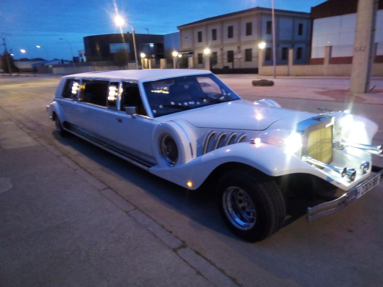VIP Limousine Eye-catcher