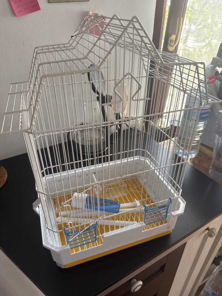 Vogelkäfig mit Zubehör
