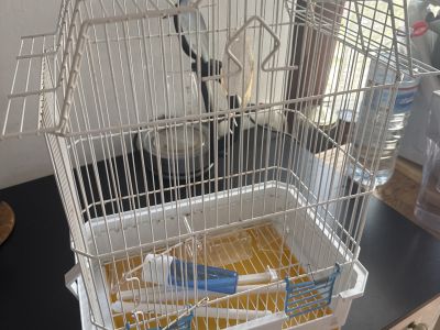 Vogelkäfig mit Zubehör