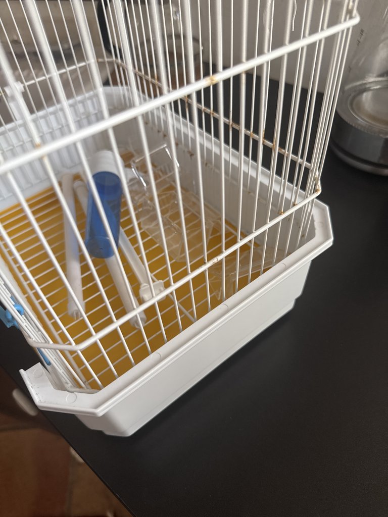 Vogelkäfig mit Zubehör