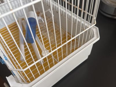 Vogelkäfig mit Zubehör