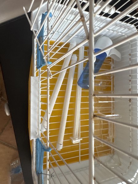 Vogelkäfig mit Zubehör