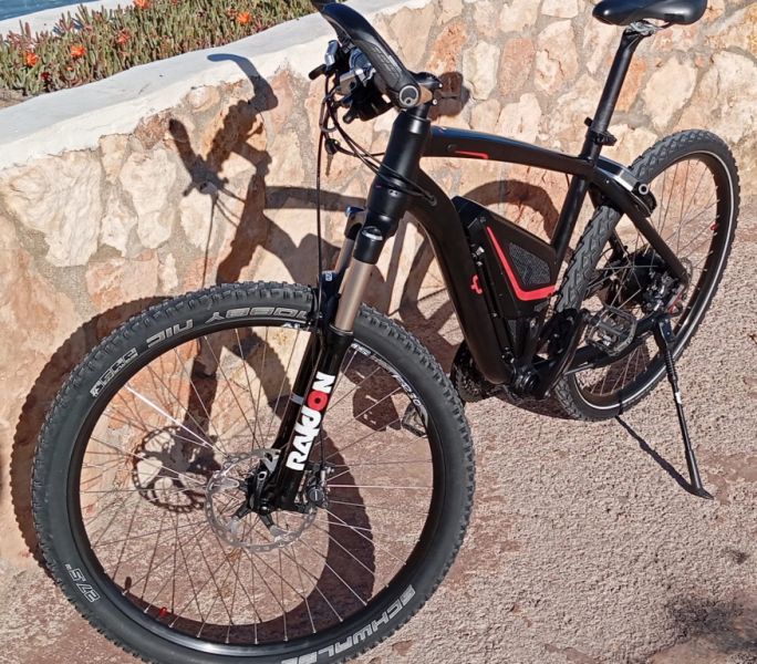 Vollblut 500-SE Flyer Electric Bike