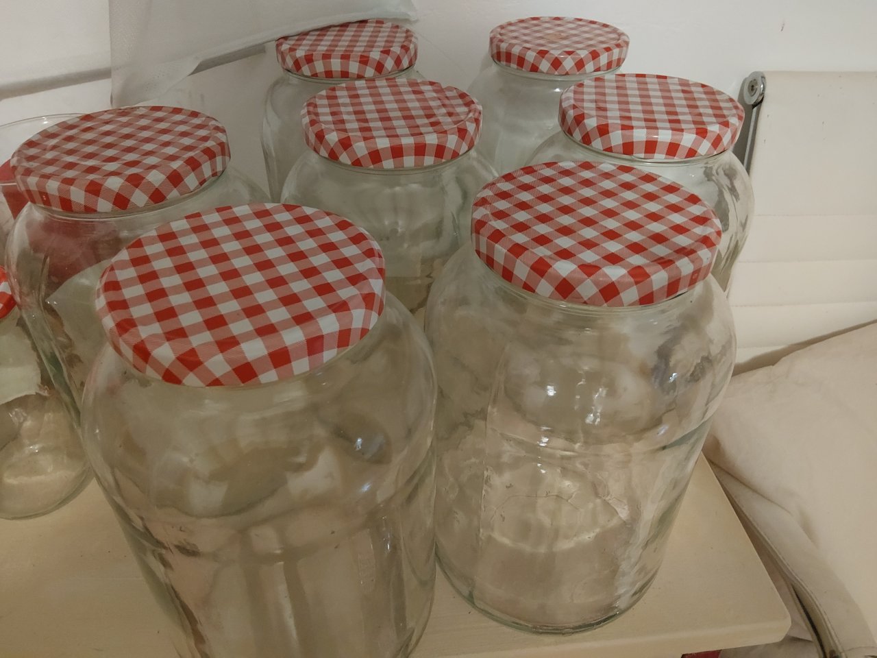 Vorratsgläser 4 l