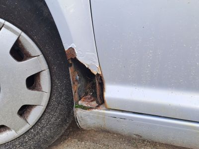 VW Golf 4