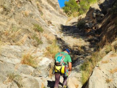 Wandern partner/in gesucht